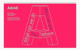 Advidi website