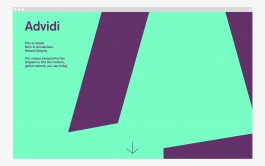 Advidi website