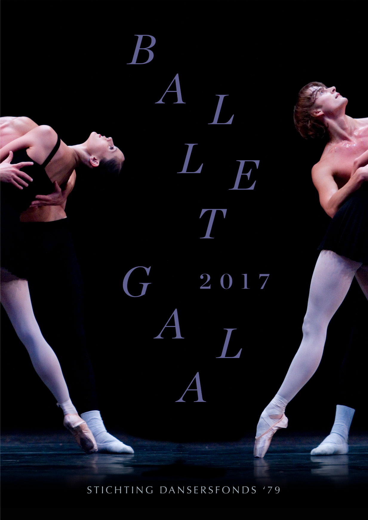 Diego Valle Ballet Gala